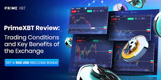 Mastering the Markets A Guide to PrimeXBT Live Trading Mastering the Markets A Guide to PrimeXBT Live Trading